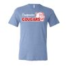 3413 Adult Extra Soft Tri-blend Tee Thumbnail